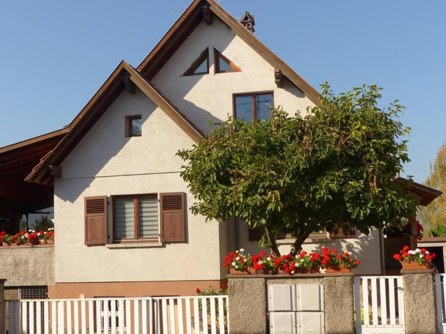 Gite Spacieux Au Coeur De L'Alsace 3*** Sélestat Buitenkant foto