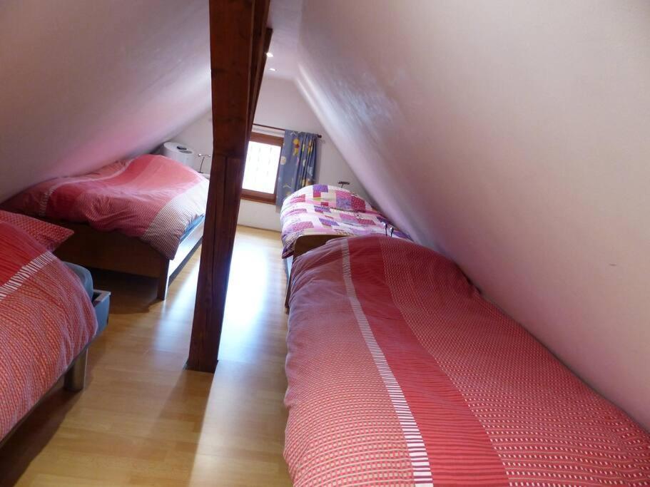 Gite Spacieux Au Coeur De L'Alsace 3*** Sélestat Buitenkant foto